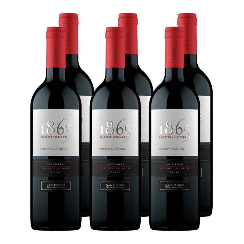 x6 Vino 1865 Selected Vineyards Cabernet Sauvignon 750cc ($10.790 c/u)