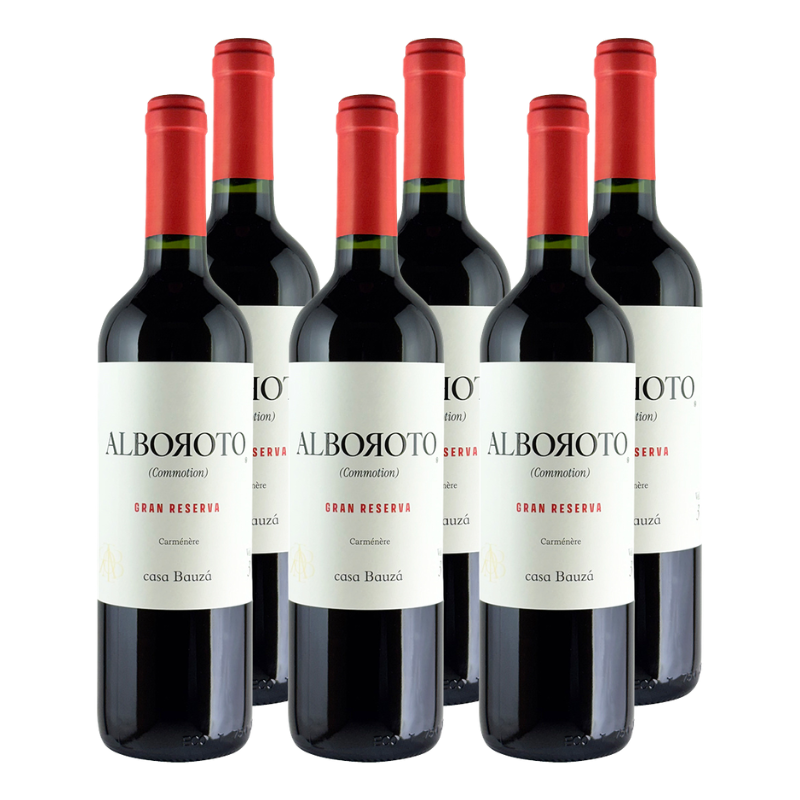 x6 Vino Casa Bauza Alboroto Carmenere 750cc