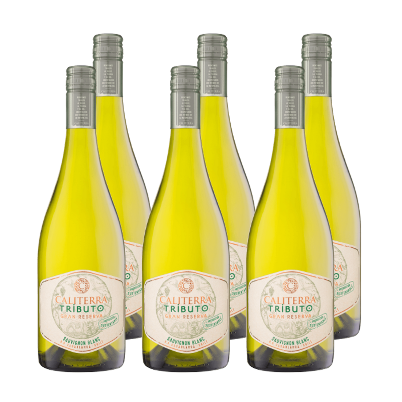 Vino Caliterra Tributo Gran Reserva Sauvignon Blanc 750cc x6 ($4.990 c/u)