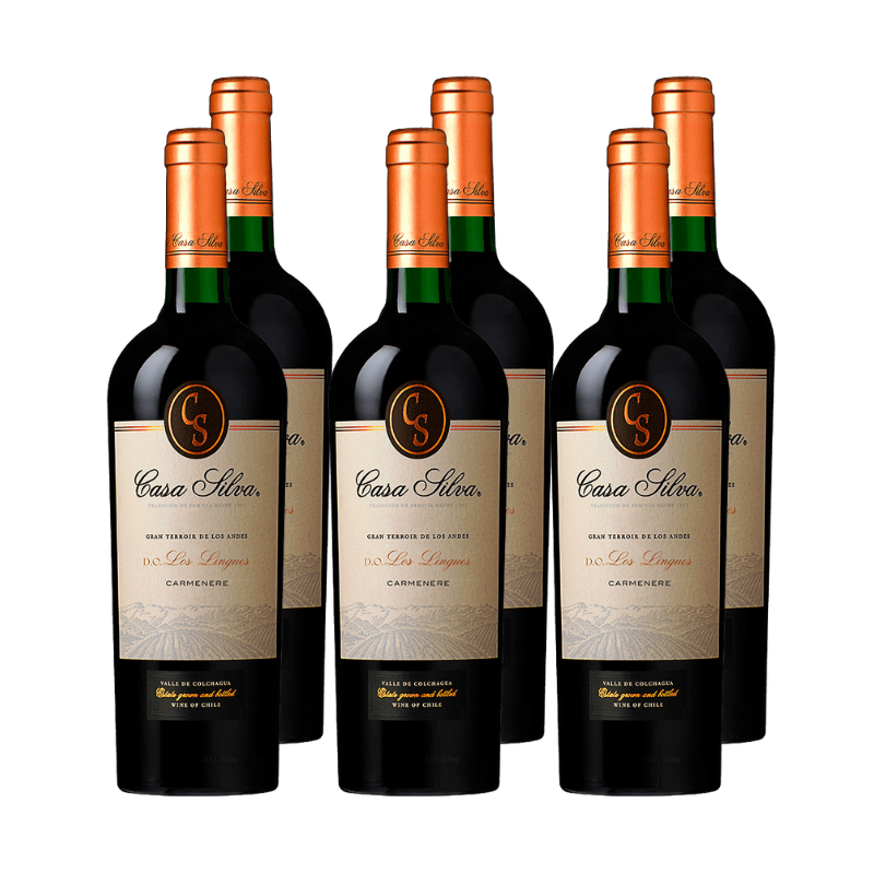 Vino Casa Silva Gran Terroir de los Andes Carmenere 750cc x6
