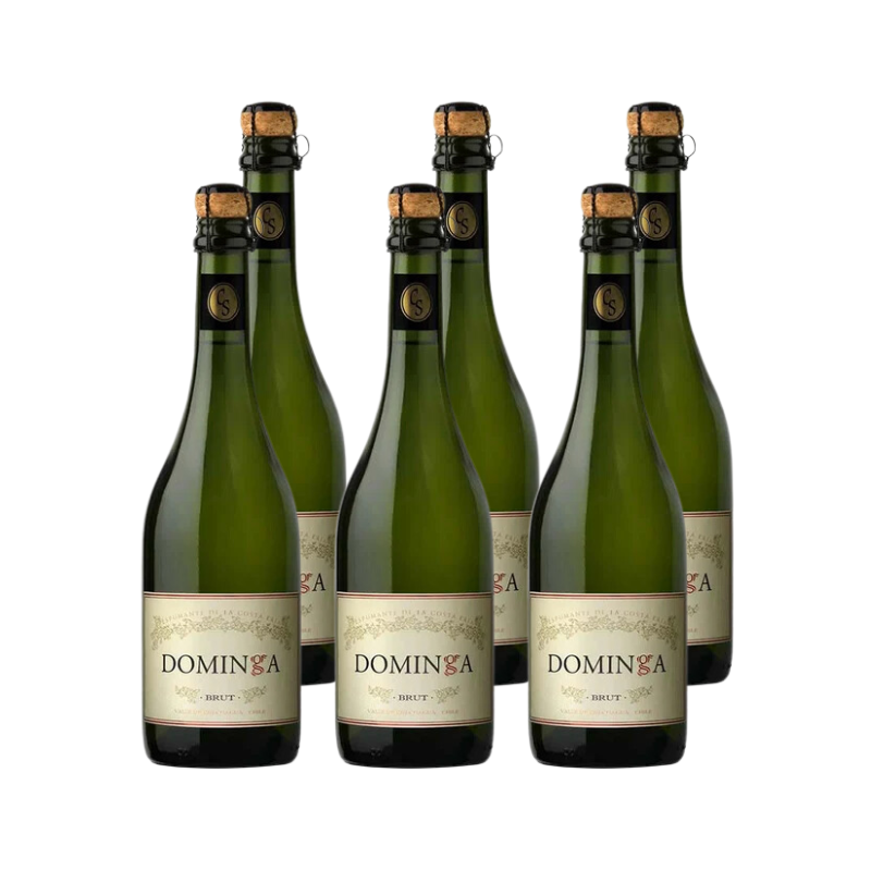 Espumante Casa Silva Dominga Brut 750cc x6 ($4.590 c/u)