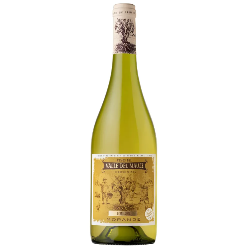 Vino Morande Terroir Wines Semillon 750ml