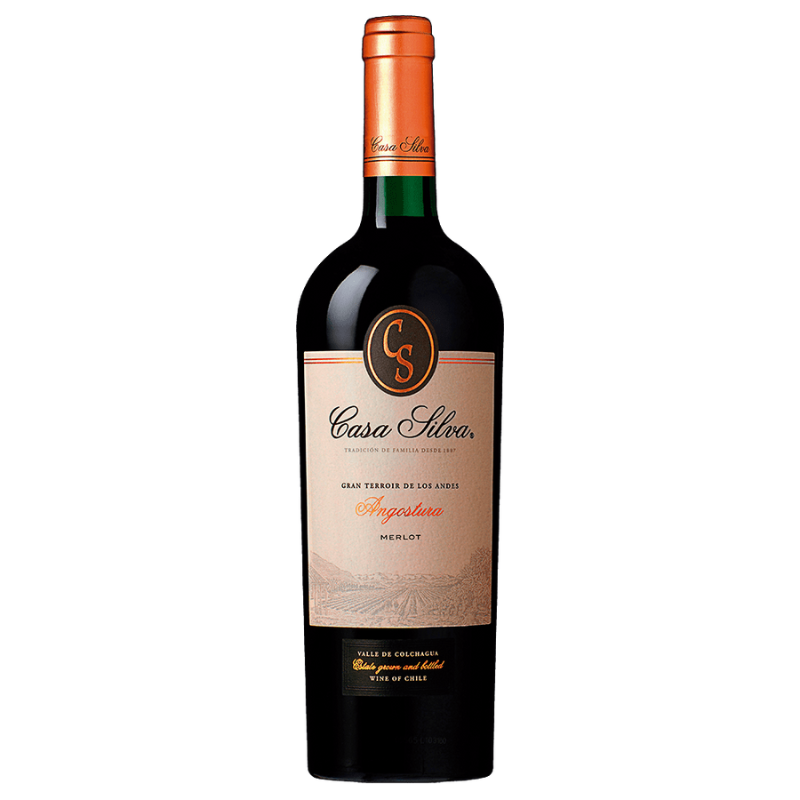 Vino Casa Silva Gran Terroir Merlot 750cc
