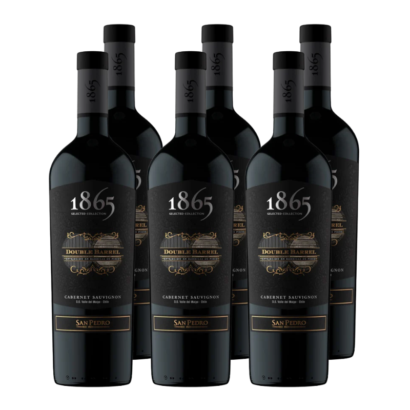 X6 Vino 1865 Double Barrel Cabernet Sauvignon 750cc ($11.990 C/U)