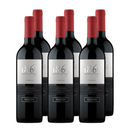 x6 Vino 1865 Selected Vineyards Carmenere 750cc ($9.790 c/u)