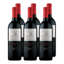 x6 Vino 1865 Selected Vineyards Cabernet Sauvignon 750cc ($9.790 c/u)