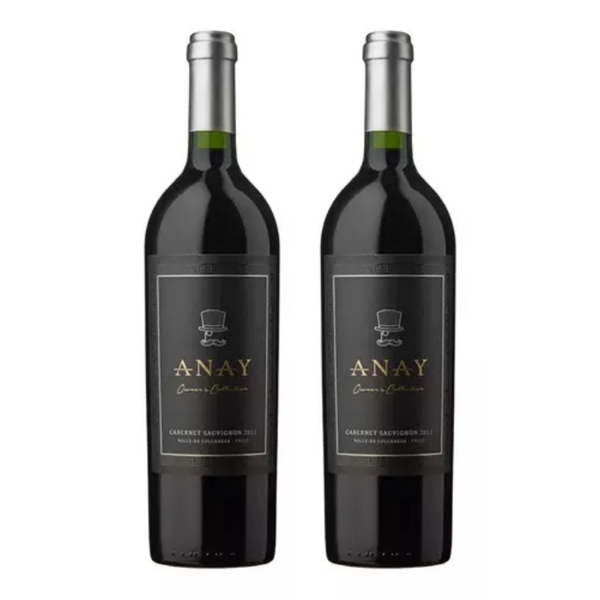 Pack 2 Vinos Anay Owner's Collection Cabernet Sauvignon + Cabernet Franc