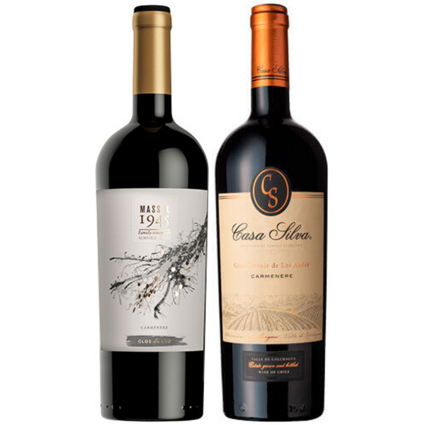 Pack 2 Vinos Clos de Luz Massal 1945 Carmenere + Casa Silva Gran Terroir Carmenere