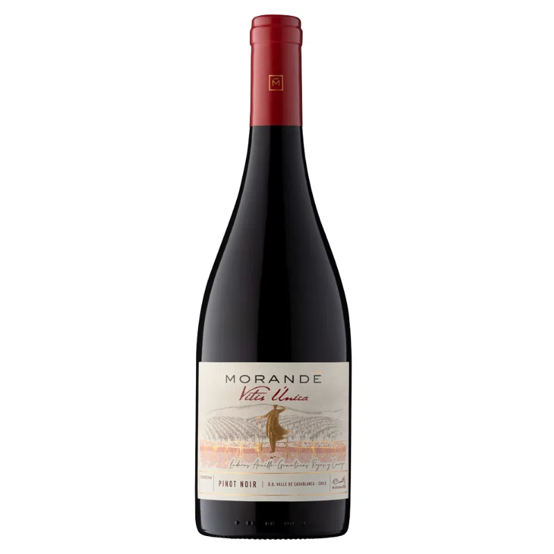 Vino Morande Vitis Unica Pinot Noir 750cc