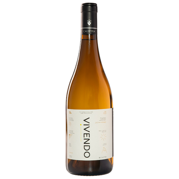 Vino Calyptra Vivendo Sauvignon Blanc 750cc