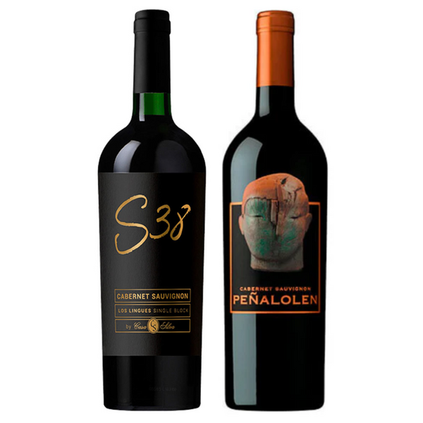 Pack 2 Vinos Cabernet Sauvignon Casa Silva S38 + Peñalolen