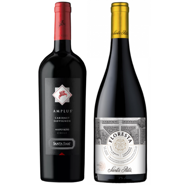 Pack 2 Vinos Cabernet Sauvignon Santa Ema Amplus + Floresta