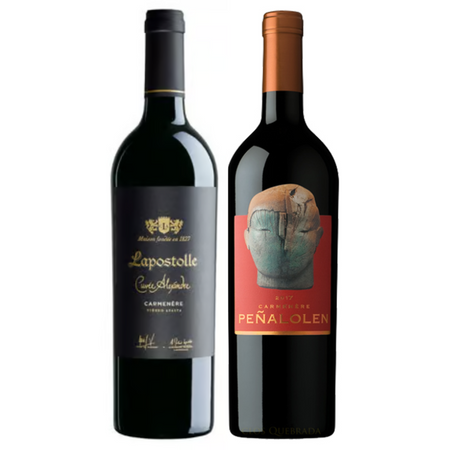 Pack 2 Vinos Carmenere Lapostolle Cuvee Alexandre + Peñalolen