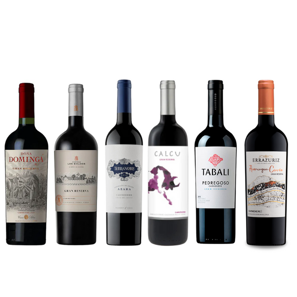 Caja Mix 6 vinos Gran Reserva Carmenere