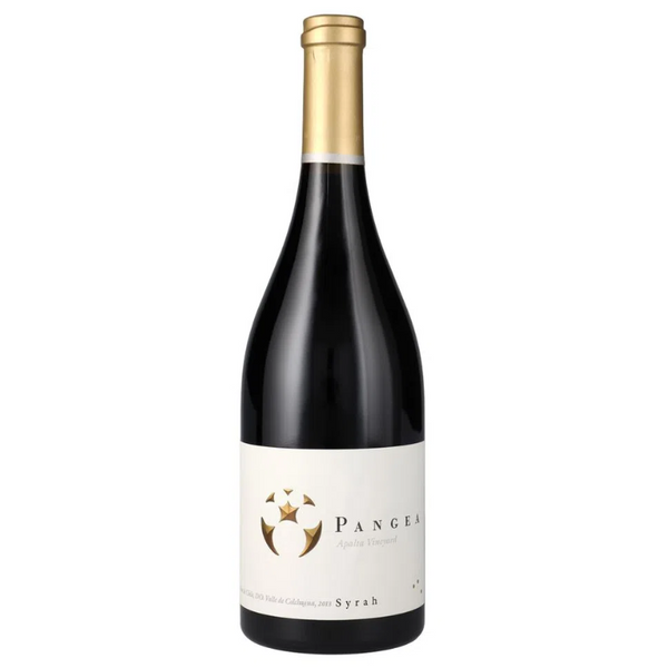 Vino Pangea Ventisquero Syrah 750cc