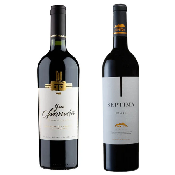 Pack 2 Vinos Malbec: Santa Cruz Chaman Gran Reserva + Septima