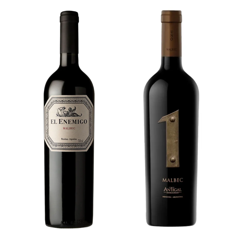 Pack Mendoza: El Enemigo Malbec + Vino Antigal UNO Malbec 750ml