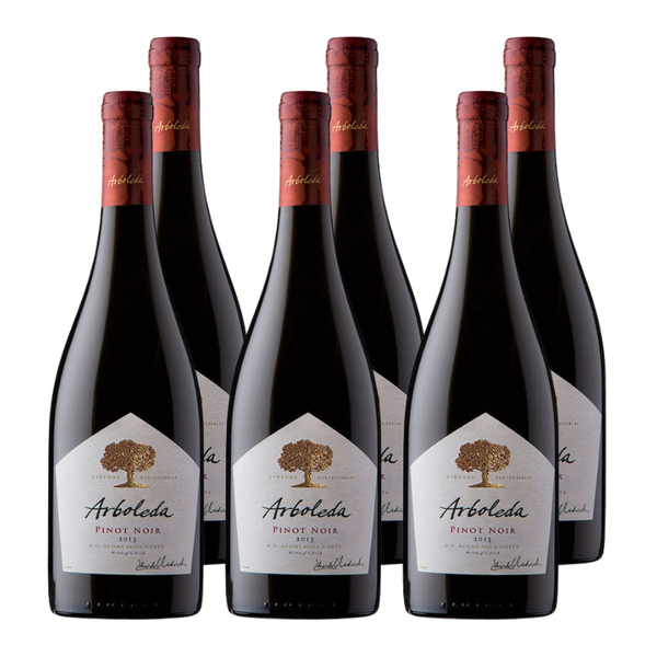 Vino Arboleda Pinot Noir 750cc x6 ($9.990 c/u)
