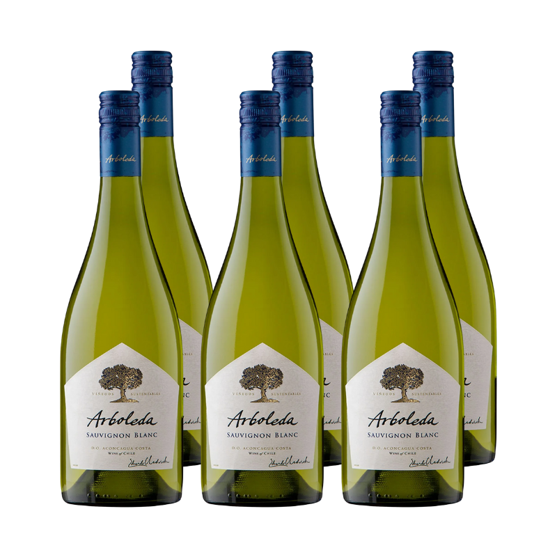Vino Arboleda Sauvignon Blanc 750cc x6 ($9.990 c/u)