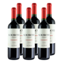 x6 Vino Casa Bauza Alboroto Carmenere 750cc