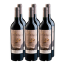 x6 Vino Calcu Fotem Cabernet Sauvignon 750c ($9.990c/u)