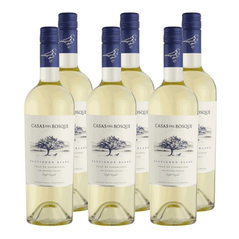 Vino Casas del Bosque Collection Sauvignon Blanc 750cc x6