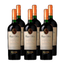 Vino Casa Silva Gran Terroir de los Andes Cabernet Sauvignon 750cc x6 ($8.990 c/u)