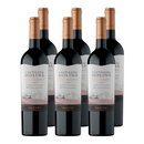 x6 Vino Castillo de Molina Gran reserva Cabernet Sauvignon 750cc ($5.090c/u)