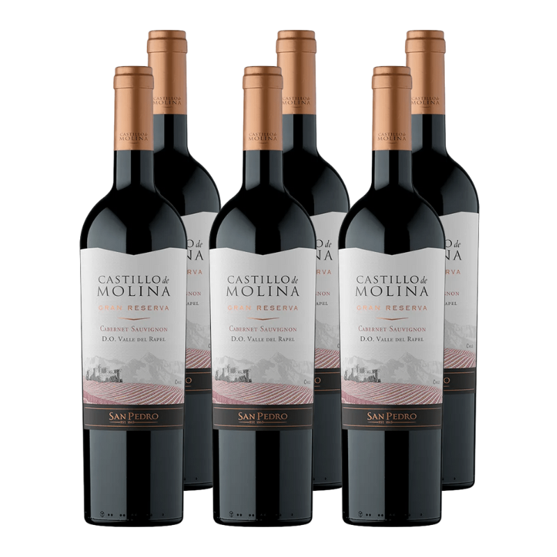 x6 Vino Castillo de Molina Gran reserva Cabernet Sauvignon 750cc ($6.190 c/u)
