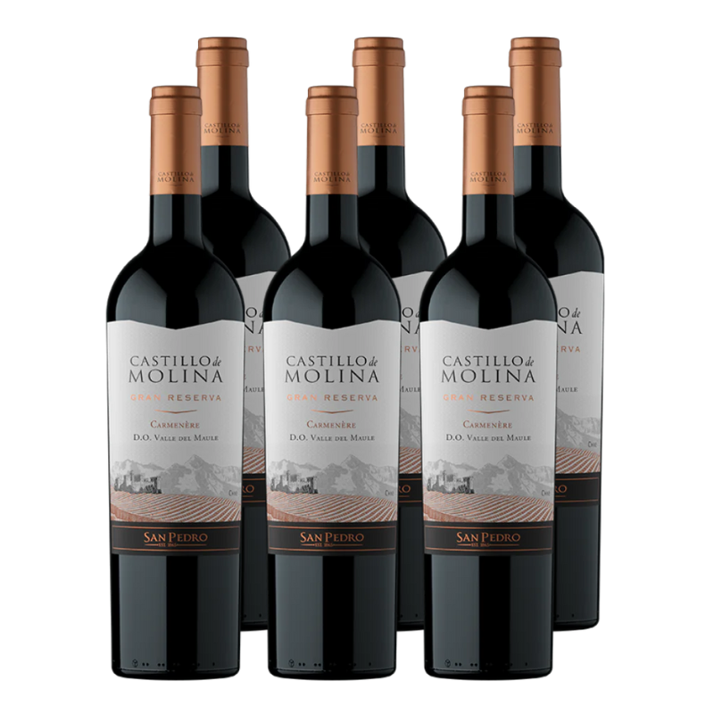 x6 Vino Castillo de Molina Gran Reserva Carmenere 750cc ($5.690 c/u)
