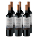 x6 Vino Castillo de Molina Gran reserva Merlot 750cc ($5.090/u)