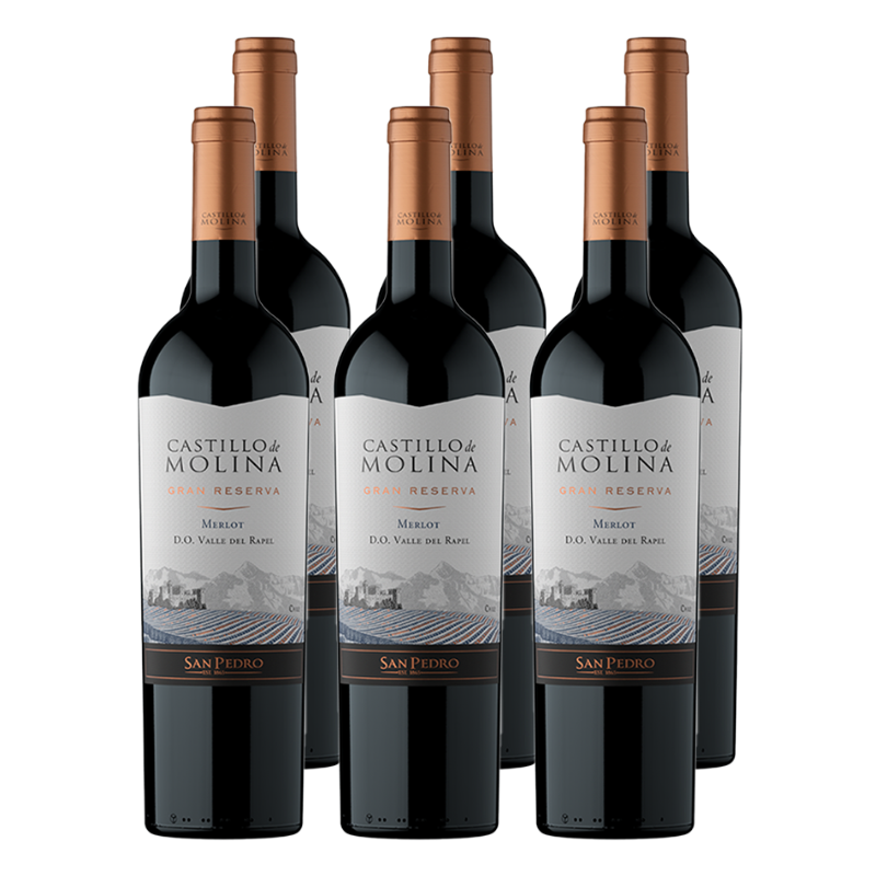 x6 Vino Castillo de Molina Gran reserva Merlot 750cc ($6.190/u)