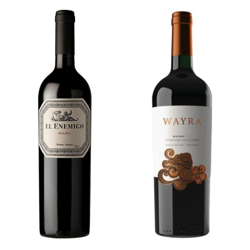 Pack Mendoza: Vinos El Enemigo Malbec + Wayra Vineyard Selection Malbec 750ml