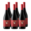 Vino Erasmo Barbera Garnacha 750ml x6