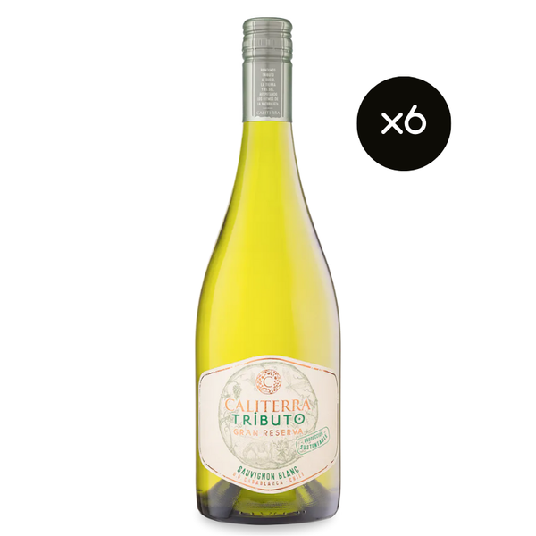 Vino Caliterra Tributo Gran Reserva Sauvignon Blanc 750cc x6 ($5.165 c/u)