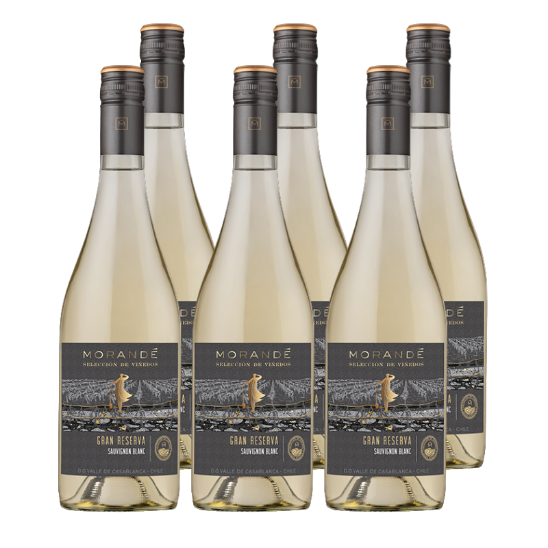 Vino Morandé Selección de Viñedos Gran Reserva Sauvignon Blanc 750cc x6 ($4.990 c/u)
