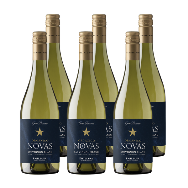x6 Vino Novas Gran Reserva Sauvignon Blanc 750cc ($4.890 c/u)