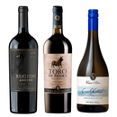 Pack Capas: Rugido Andino Carmenere + Toro de Piedra Cabernet Sauvignon + Cool Coast Sauvignon Blanc 750cc