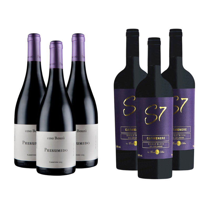 Pack 3 Vino Presumido Carmenere + 3 Casa Silva S7 Carmenere 750cc