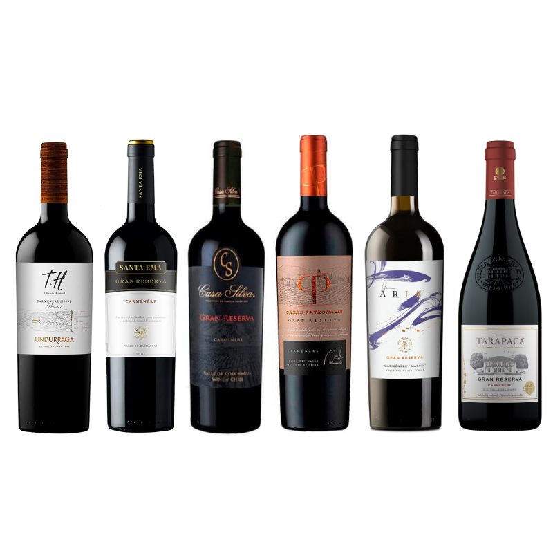 Pack 6 Vinos Carmenere Gran Reserva Premium 750cc