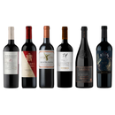 Pack 6 Vinos Tintos Premium – Selección OPERA 750ml