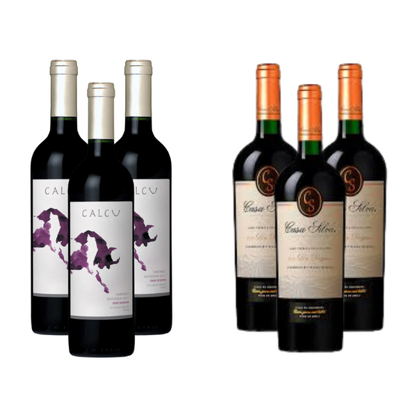 Pack 3 Vinos Calcu Gran Reserva Cabernet Sauvignon + 3 Vinos Casa Silva Gran Terroir Cabernet Sauvignon ($6.490 c/u)