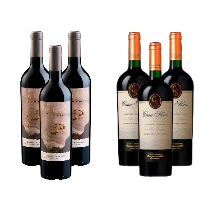 Pack 3 Vinos Calcu Fotem + 3 Vinos Casa Silva Gran Terroir Cabernet Sauvignon