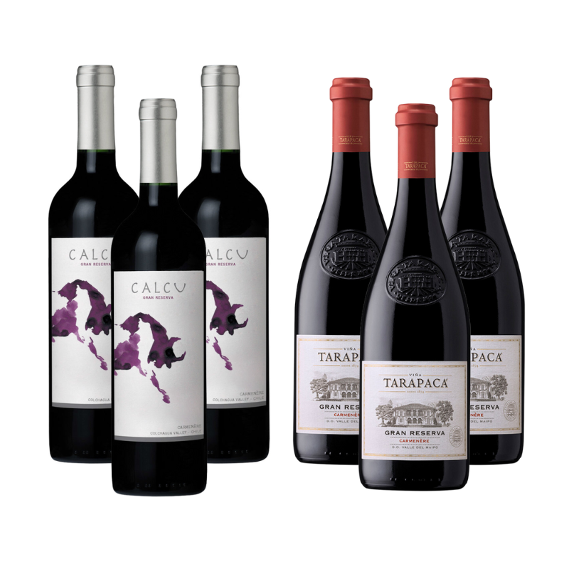 Pack 3 Vinos Calcu Gran Reserva Carmenere + 3 Vinos Tarapaca Gran Reserva Carmenere ($5.832 c/u)