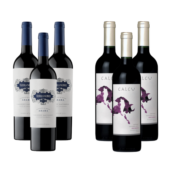 Pack 3 Vinos Terranoble Azara Gran Reserva Cabernet Sauvignon + 3 Vinos Calcu Gran Reserva Cabernet Sauvignon ($6.390 c/u)