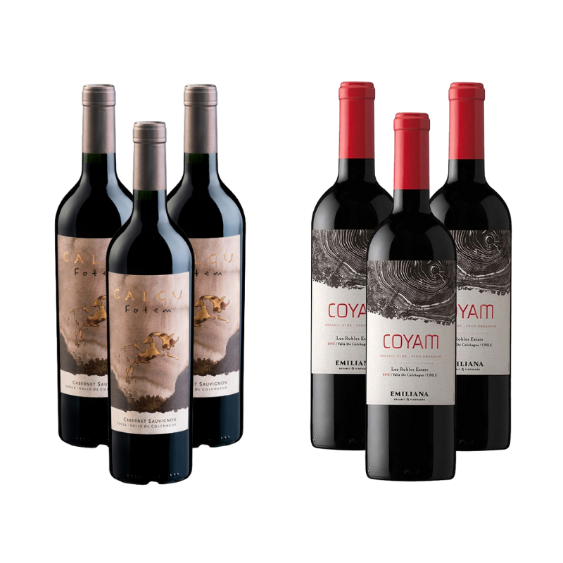 Pack 3 Vinos Calcu Fotem + 3 Vinos Coyam Ensamblaje ($11.990 c/u)