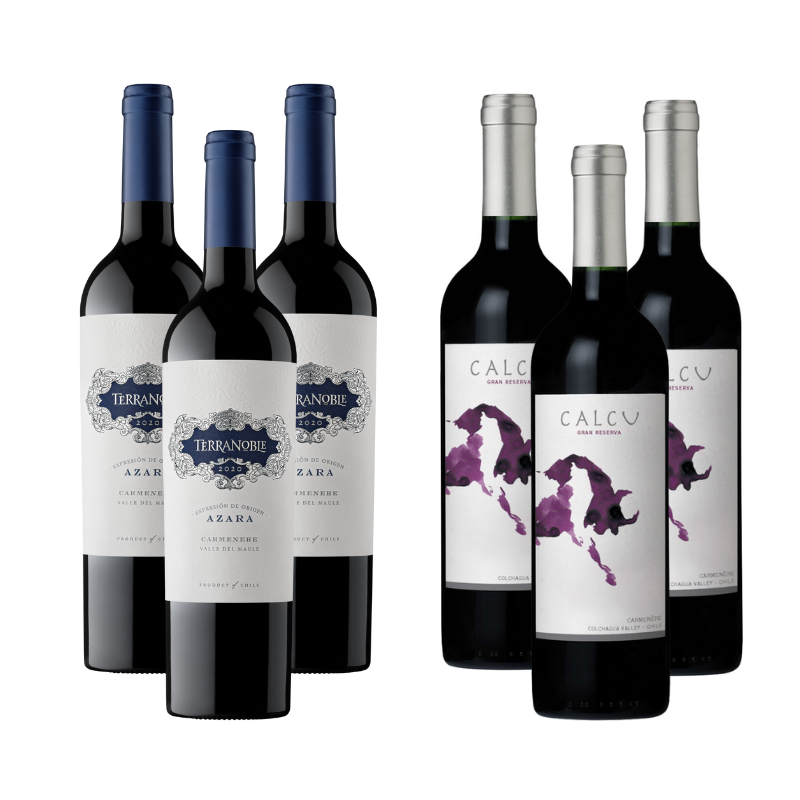 Pack 3 Vinos Terranoble Azara Gran Reserva Carmenere + 3 Vinos Calcu Gran Reserva Carmenere ($6.390 c/u)