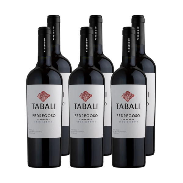 x6 Vino Tabali Pedregoso Gran Reserva Carmenere 750ml ($6.790 c/u)
