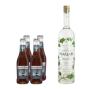 Pack Pisco Waqar 40º 700ml + x4 Fever Tree Light Madagascan Cola 200ml