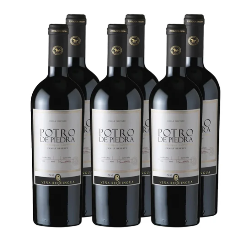 Vino Potro de Piedra Family Reserve Ensamblaje 750cc x6